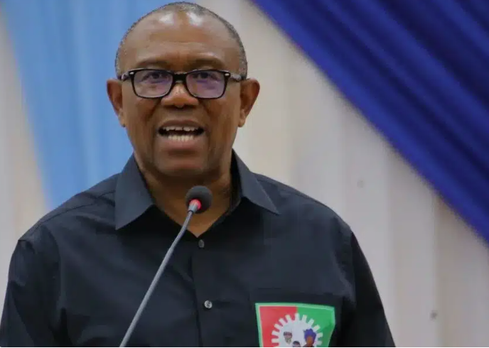 Govt officials shouldn’t embark on foreign trips until security is fixed — Obi