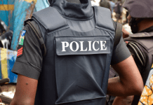 Man kills brother over property rift in Niger