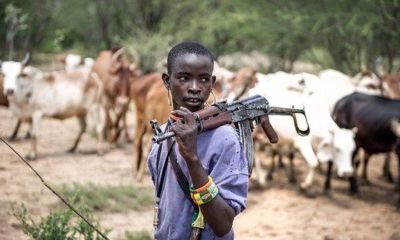 Fulani herdsman surprises viewers with fluent English as he proffers solution to Farmer-Herder crisis