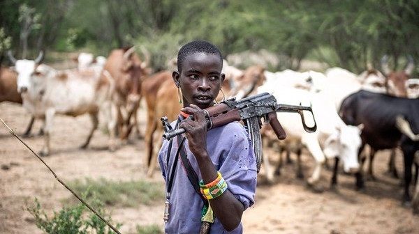 Fulani herders allegedly kill farmer, burn his body in Kogi