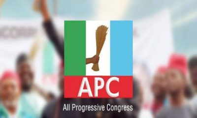 APC sweeps Imo LG election