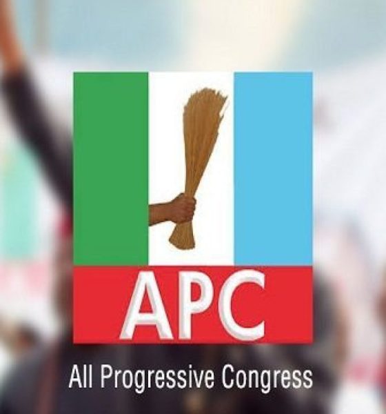 APC sweeps Imo LG election