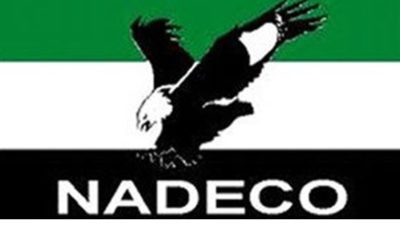 NADECO USA rejects Supreme Court judgement, says 2023 presidential election same as annulled June 12, 1993 poll