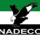 NADECO USA rejects Supreme Court judgement, says 2023 presidential election same as annulled June 12, 1993 poll