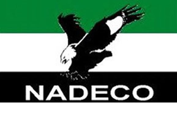 NADECO USA rejects Supreme Court judgement, says 2023 presidential election same as annulled June 12, 1993 poll