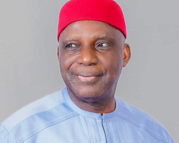 Professor Bart Nnaji