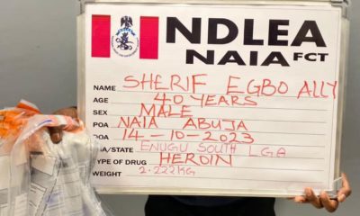 Sherif Egbo Ally