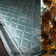 Bed Bug Control