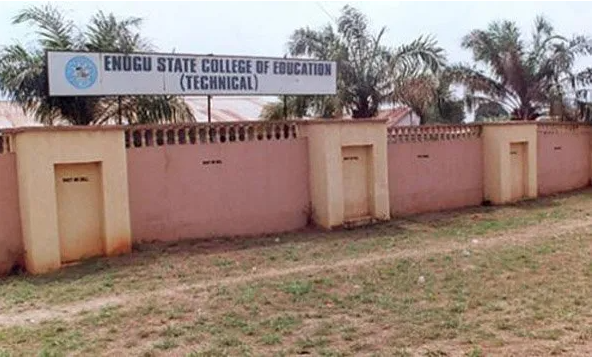 Enugu probes alleged fraud, others in College of Education