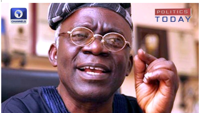 Judiciary should not determine winners of elections - Falana