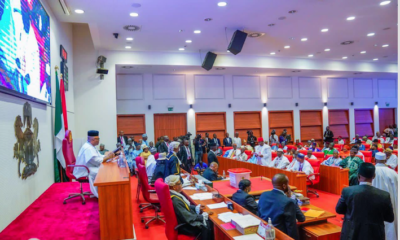 Senate okays Tinubu’s request to borrow $7.8bn, €100m