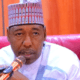 Boko Haram may wipe Nigeria off the map, Zulum raises alarm about insurgency
