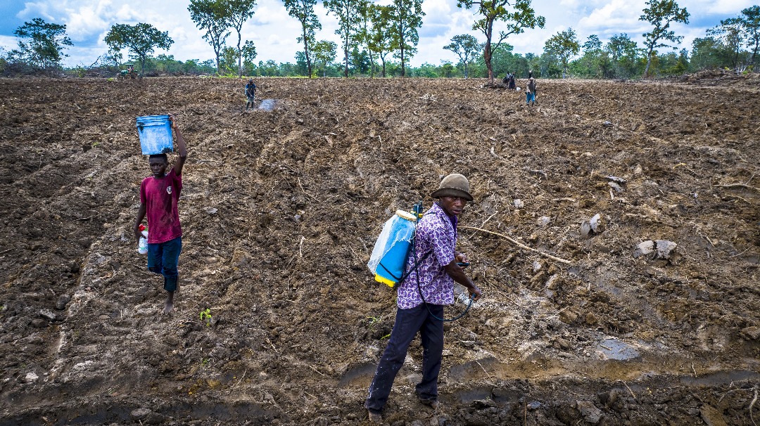 Enugu gov't to build bioethanol plants, as Aninri donates 500 hectares of lands for cassava cultivation