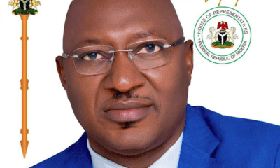 Appeal Court upholds LP's Nnamchi's victory, sacks Cornelius Nnaji