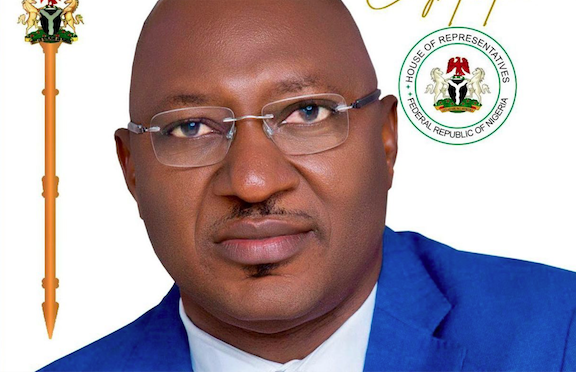 Appeal Court upholds LP's Nnamchi's victory, sacks Cornelius Nnaji