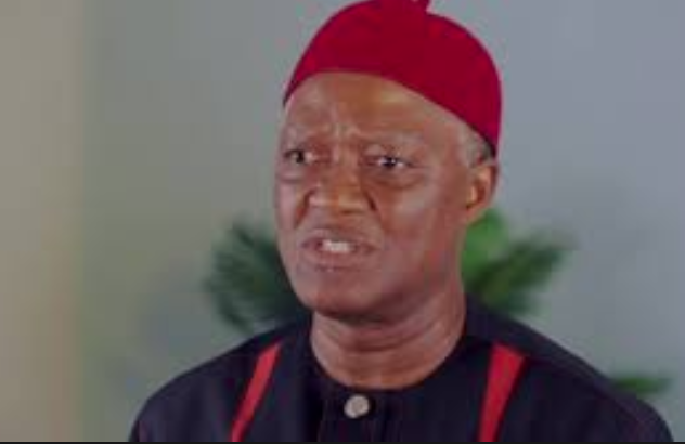 Appeal Court sacks Enugu LP Rep member, Dennis Agbo, Orders fresh poll within 90 days