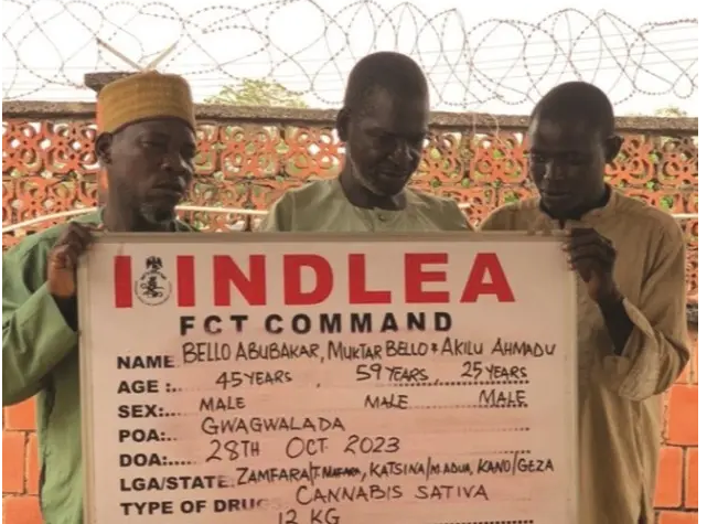 NDLEA nabs three blind men over drug trafficking, seizes narcotics worth N13bn