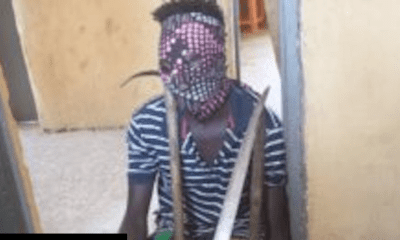 Serial goat thief arrested by Police in Kaduna