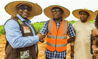 Enugu gov't acquires 200 hectares of land for Cassava farming