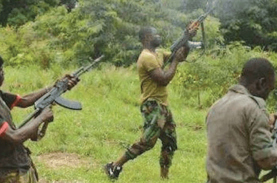 Gunmen allegedly kill vigilante, injure three others in Bauchi