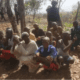 Troops kill 14 insurgents, rescue kidnapped victims in Niger, Kaduna