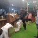 Church members crawl under pastor to cross over into a prosperous 2024 (video)