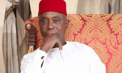 Why Nigerians should be allowed to carry guns - Ned Nwoko