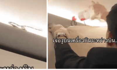 Chaos on flight as snake crawls out of plane's overhead bin