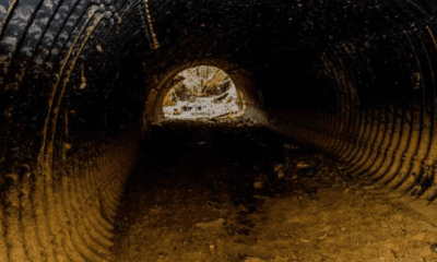 Abia govt discovers tunnel, schools where kidnappers keep victims
