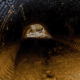 Abia govt discovers tunnel, schools where kidnappers keep victims