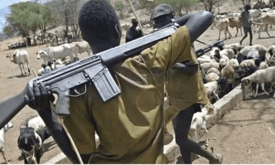 Armed herdsmen sack, occupy 10 Benue villages