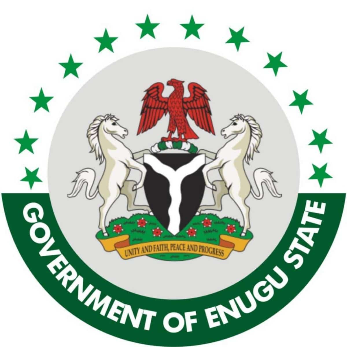 Absenteeism: Enugu Gov't queries 164 civil servants