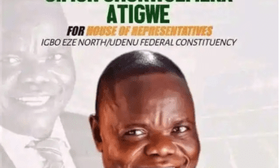 PDP wins Igboeze North/Udenu Fed Constituency re-run
