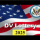 Nigeria, 17 other countries excluded from 2025 US Lottery Visa