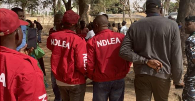 Female Lawyer nabbed with hard drugs as NDLEA raids criminal hideouts in Abia