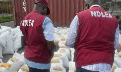 Drug war: NDLEA intercepts large consignment of drugs from New York at Lagos Airport