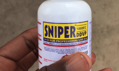 17-year-old boy commits suicide over theft allegations