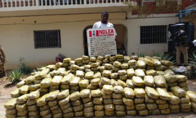NDLEA arrests pregnant woman, widow over N3.2m counterfeit cash, illicit substance