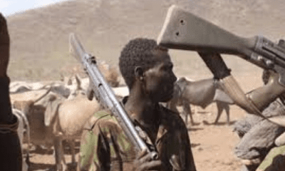 Gunmen attack Kogi communities, kill 19, raze houses