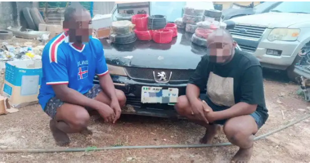 Enugu police arrest two for stealing wires, electrical gadgets from construction sites