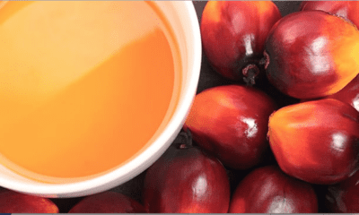 Man kills mother over palm oil proceed