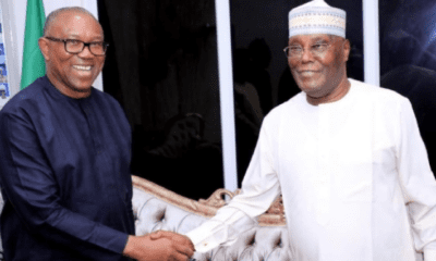 APC berates Atiku, Obi over alleged merger plans