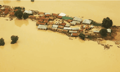 FG warns states as River Niger water level rises