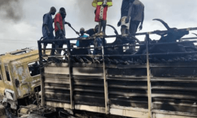  30 die, 50 cattle burnt in deadly tanker explosion