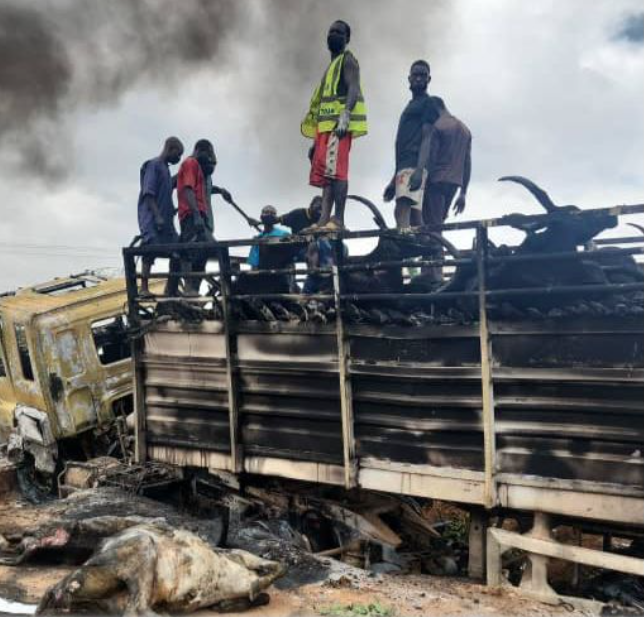  30 die, 50 cattle burnt in deadly tanker explosion